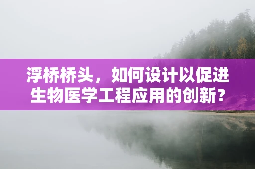 浮桥桥头，如何设计以促进生物医学工程应用的创新？
