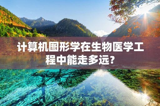 计算机图形学在生物医学工程中能走多远？