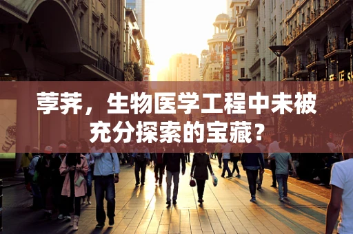 荸荠，生物医学工程中未被充分探索的宝藏？