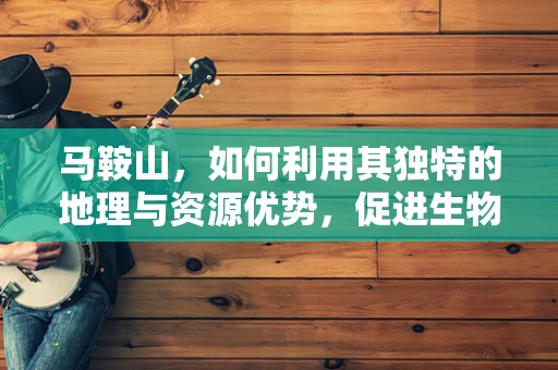 马鞍山，如何利用其独特的地理与资源优势，促进生物医学工程的发展？