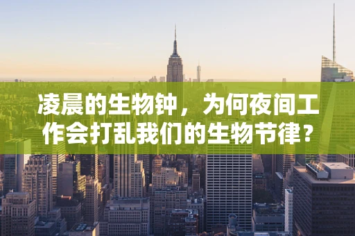 凌晨的生物钟，为何夜间工作会打乱我们的生物节律？