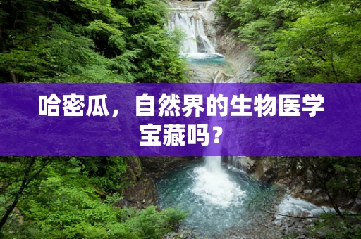 哈密瓜，自然界的生物医学宝藏吗？