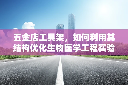 五金店工具架，如何利用其结构优化生物医学工程实验设备管理？