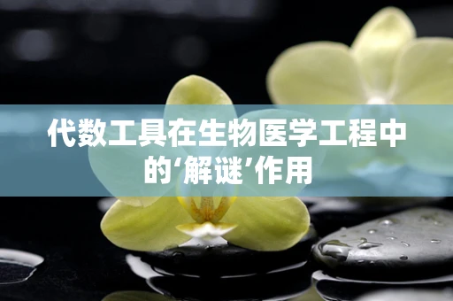 代数工具在生物医学工程中的‘解谜’作用