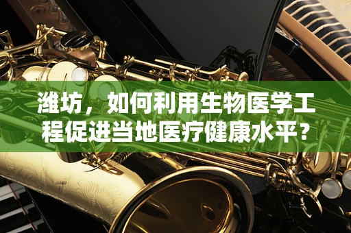 潍坊，如何利用生物医学工程促进当地医疗健康水平？