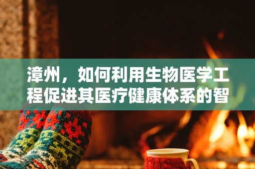 漳州，如何利用生物医学工程促进其医疗健康体系的智能化升级？