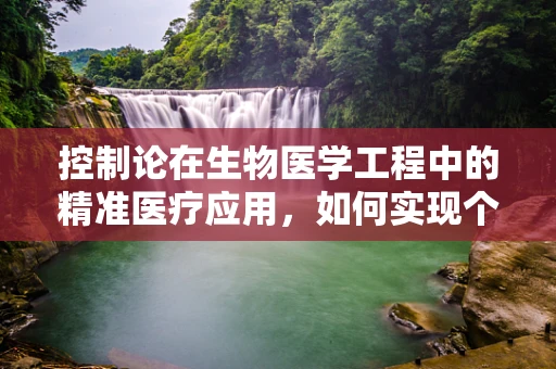 控制论在生物医学工程中的精准医疗应用，如何实现个体化治疗的最优化？