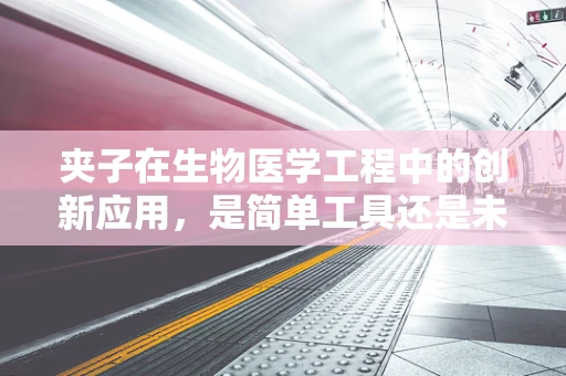 夹子在生物医学工程中的创新应用，是简单工具还是未来医疗的钥匙？