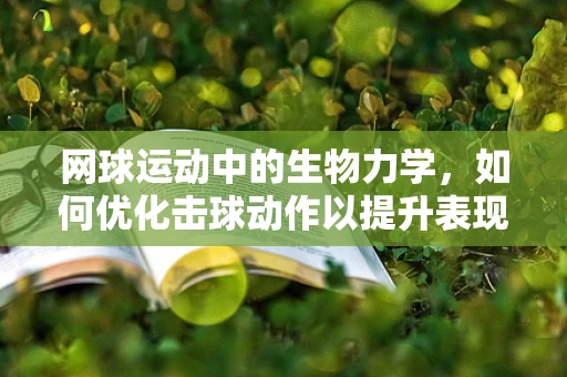 网球运动中的生物力学，如何优化击球动作以提升表现？