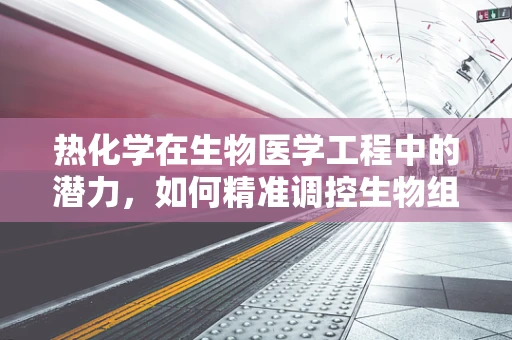 热化学在生物医学工程中的潜力，如何精准调控生物组织的温度？