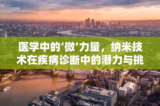 医学中的‘微’力量，纳米技术在疾病诊断中的潜力与挑战