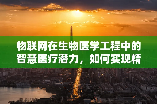 物联网在生物医学工程中的智慧医疗潜力，如何实现精准医疗的飞跃？