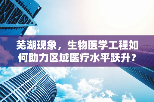 芜湖现象，生物医学工程如何助力区域医疗水平跃升？