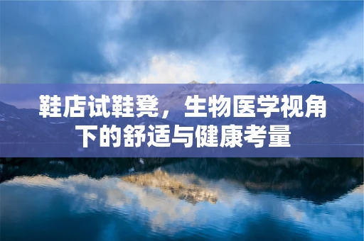 鞋店试鞋凳，生物医学视角下的舒适与健康考量