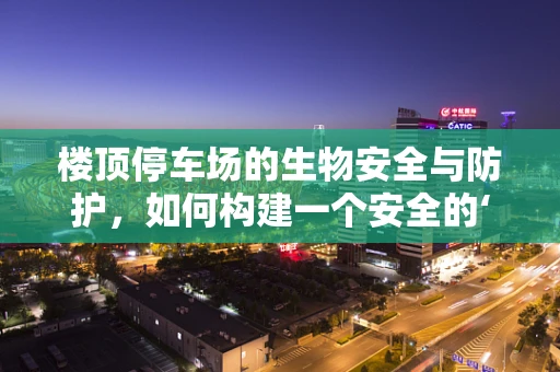 楼顶停车场的生物安全与防护，如何构建一个安全的‘空中停车场’？