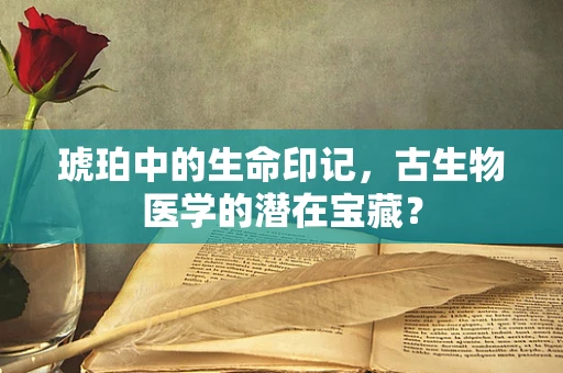 琥珀中的生命印记，古生物医学的潜在宝藏？