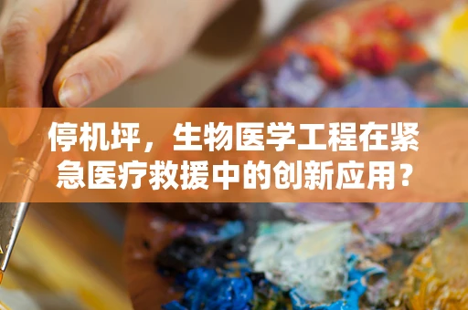停机坪，生物医学工程在紧急医疗救援中的创新应用？