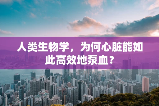人类生物学，为何心脏能如此高效地泵血？