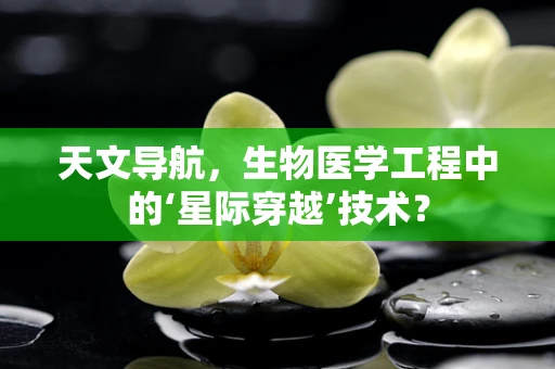 天文导航，生物医学工程中的‘星际穿越’技术？