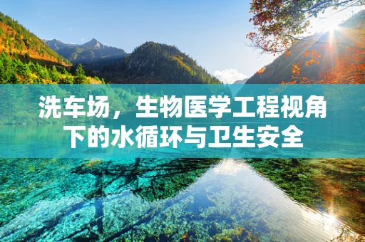 洗车场，生物医学工程视角下的水循环与卫生安全