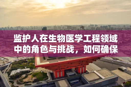 监护人在生物医学工程领域中的角色与挑战，如何确保患者安全的‘守护者’？