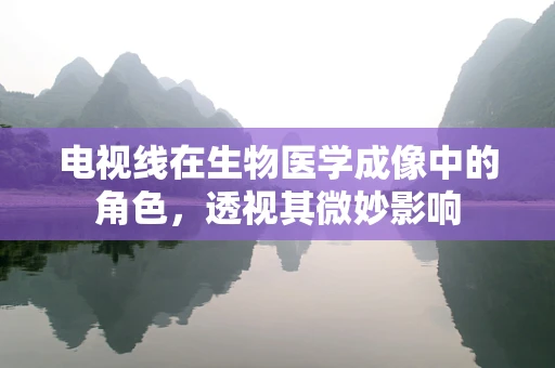 电视线在生物医学成像中的角色，透视其微妙影响