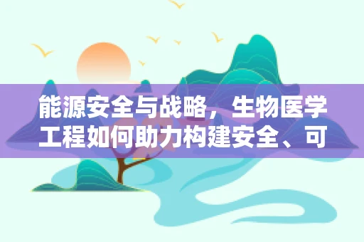 能源安全与战略，生物医学工程如何助力构建安全、可持续的医疗能源体系？
