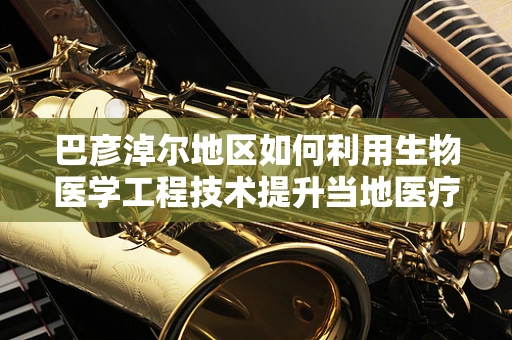 巴彦淖尔地区如何利用生物医学工程技术提升当地医疗水平？