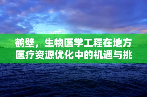 鹤壁，生物医学工程在地方医疗资源优化中的机遇与挑战？