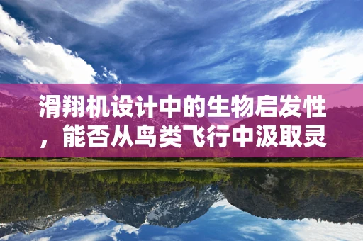 滑翔机设计中的生物启发性，能否从鸟类飞行中汲取灵感？