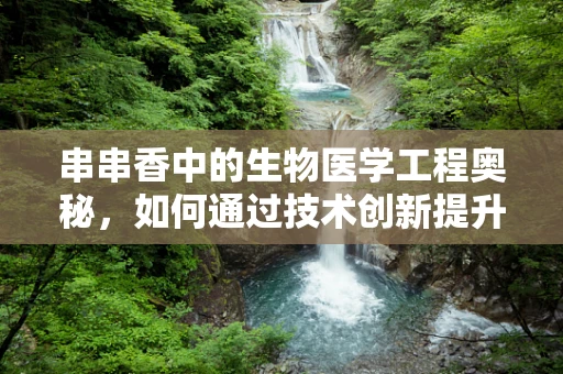 串串香中的生物医学工程奥秘，如何通过技术创新提升食品安全与体验？