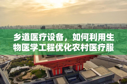 乡道医疗设备，如何利用生物医学工程优化农村医疗服务？
