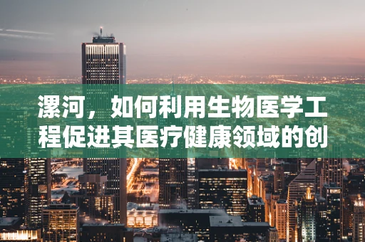 漯河，如何利用生物医学工程促进其医疗健康领域的创新发展？
