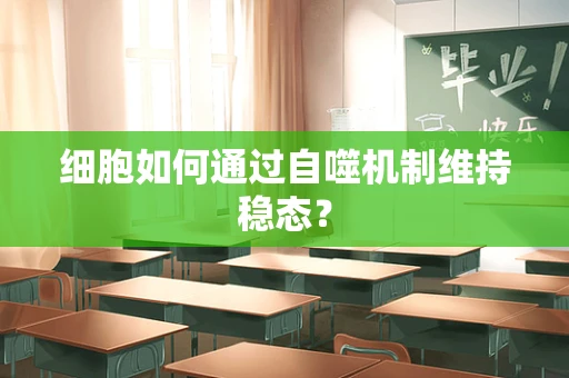 细胞如何通过自噬机制维持稳态？
