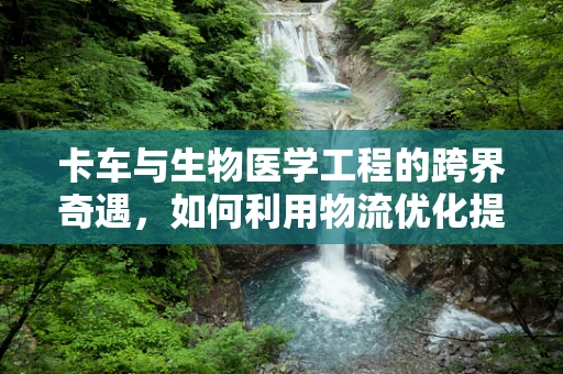 卡车与生物医学工程的跨界奇遇，如何利用物流优化提升医疗物资配送效率？