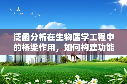 泛函分析在生物医学工程中的桥梁作用，如何构建功能映射的数学语言？