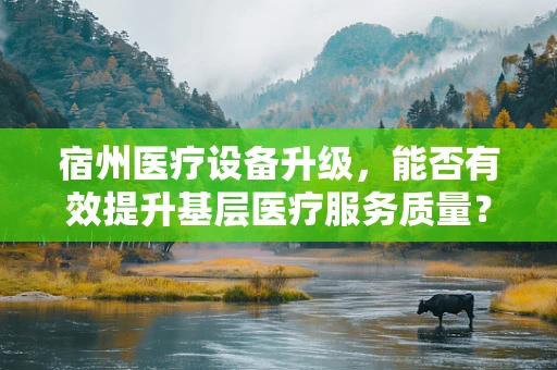 宿州医疗设备升级，能否有效提升基层医疗服务质量？