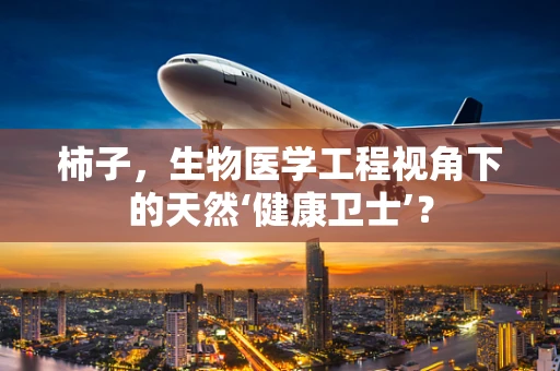 柿子，生物医学工程视角下的天然‘健康卫士’？