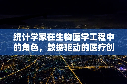 统计学家在生物医学工程中的角色，数据驱动的医疗创新