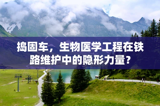 捣固车，生物医学工程在铁路维护中的隐形力量？