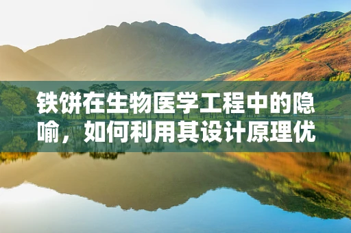 铁饼在生物医学工程中的隐喻，如何利用其设计原理优化医疗设备？
