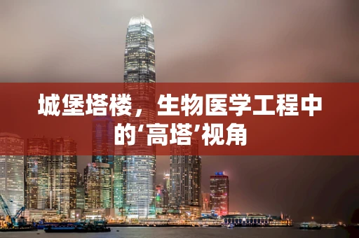 城堡塔楼，生物医学工程中的‘高塔’视角