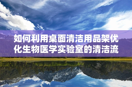 如何利用桌面清洁用品架优化生物医学实验室的清洁流程？