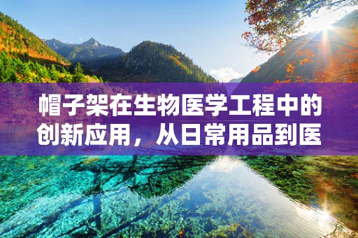 帽子架在生物医学工程中的创新应用，从日常用品到医疗辅助的跨越？