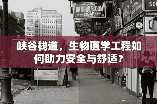 峡谷栈道，生物医学工程如何助力安全与舒适？