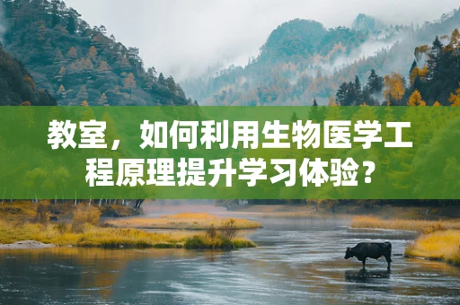 教室，如何利用生物医学工程原理提升学习体验？