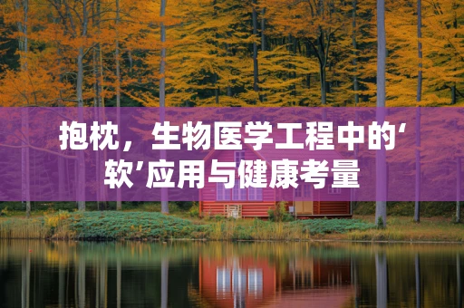 抱枕，生物医学工程中的‘软’应用与健康考量