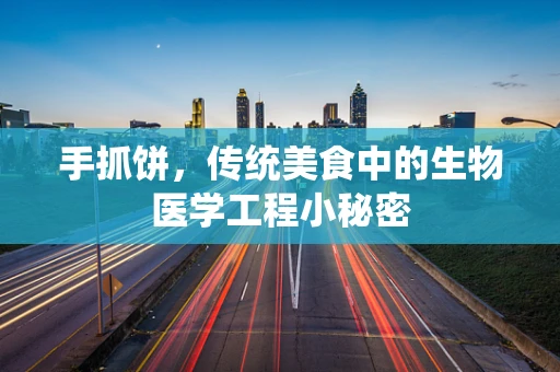 手抓饼，传统美食中的生物医学工程小秘密
