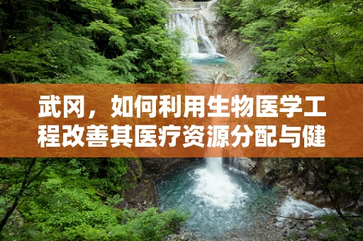 武冈，如何利用生物医学工程改善其医疗资源分配与健康管理？