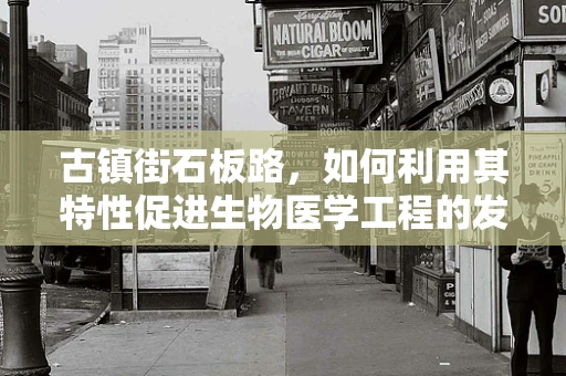 古镇街石板路，如何利用其特性促进生物医学工程的发展？